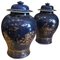 18th Century Chinese Powder Blue Gilt Decorated Jars, Set of 2 1