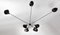 Mid-Century Modern Black Spider Wall or Ceiling Lamp with 7 Fixed Arms by Serge Mouille 3