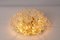 Murano Glass Flower Ceiling Light by Ernst Palme, Germany, 1970s 10