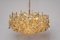 Large Gilt Brass and Crystal Chandelier from Palwa, Germany, 1970s 6