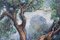 L'Ulivo Vecchio, Fine XX secolo, Olio su tela, In cornice, Immagine 4