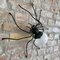 Aplique Lucky Charm Spider italiano de Illuminazione Rossini, años 60, Imagen 10