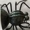 Aplique Lucky Charm Spider italiano de Illuminazione Rossini, años 60, Imagen 14