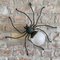 Aplique Lucky Charm Spider italiano de Illuminazione Rossini, años 60, Imagen 11