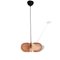 Small Mid-Century Modern French Wooden Hanging Lamp, 1960s, Image 3