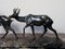 Bronze Two Gazelles Sculpture by I. Rochard, Image 8