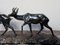 Sculpture Deux Gazelles en Bronze par I. Rochard 8
