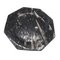 Octagonal Jurassic Black Marble Fossil, Set of 4 6