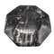 Octagonal Jurassic Black Marble Fossil, Set of 4 4