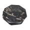 Octagonal Jurassic Black Marble Fossil, Set of 4, Image 5