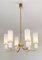 Brass and Glass Chandelier, Italy 1950s 5