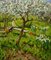 Boris Lavrenko, Trees in Bloom in My Garden, 1980, Oil on Canvas, Framed 1