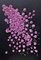 Carolyn Miller, Midnight Roses, 2021, pasta acrílica y yeso sobre lienzo, Imagen 1