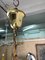 Lámpara de araña de Lumi Milano, Imagen 3