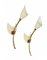 Italienische Mid-Century Tulip Wandleuchten aus Messing & emailliertem Aluminium von GCME, 1950er, 2er Set 8