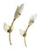 Mid-Century Italian Brass & Enamelled Aluminum Tulip Sconces from GCME, 1950s, Set of 2 9