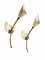 Applique Tulip Mid-Century in ottone e alluminio smaltato di GCME, Italia, anni '50, set di 2, Immagine 10