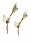 Italienische Mid-Century Tulip Wandleuchten aus Messing & emailliertem Aluminium von GCME, 1950er, 2er Set 10