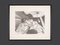 Impresión Offset en blanco y negro de Dees de Bruyne, Sex, Drugs and Rock 'n' Roll, finales del siglo XX, Imagen 1