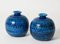 Terracotta Ceramic Rimini Blue Vases by Aldo Londi for Bitossi, Italy, 1960s, Set of 2 2