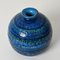 Terracotta Ceramic Rimini Blue Vases by Aldo Londi for Bitossi, Italy, 1960s, Set of 2 10