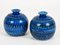 Terracotta Ceramic Rimini Blue Vases by Aldo Londi for Bitossi, Italy, 1960s, Set of 2 17