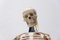 Human Skeleton, Czechoslovakia, 1970s 12