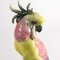 Pink Parrot from Karl Ens 2