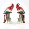 Porcelain Parrots from Sitzendorf, Set of 2, Image 4