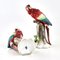 Porcelain Parrots from Sitzendorf, Set of 2 5