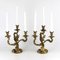 Gilded Bronze Rocaille Candelabras, Set of 2 5