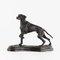 Perro de caza de bronce, Imagen 1