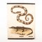 Stampa educativa di serpente e coccodrillo, Germania, XIX secolo, Immagine 1