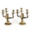 Gilded Bronze Rocaille Candelabras, Set of 2 3