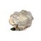 Miniatur Bronze Eidechse auf einem Stein 7