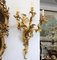 Rococo Style Wall Sconces, Set of 2 3