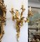 Rococo Style Wall Sconces, Set of 2, Image 3