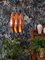 Copper Kastor Pendant Lamp by John Hammerborg for Fog & Menup 3