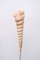 Ariell Seashell Floor Lamp, 1980s 3