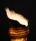 Lámpara de pie Ariell Seashell, años 80, Imagen 9