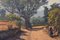 Große alte Olivenbäume Gemälde von Ricard Tarrega Viladoms 3