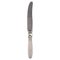 Sterling Silver & Stainless Steel Cactus Lunch Knife from Georg Jensen, Image 1