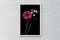 Rosa und weiße Blumen auf schwarzem Hintergrund, 2021, Giclée Druck 1