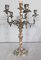 Candelabri in stile Luigi XV in bronzo argentato, set di 2, Immagine 24