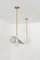 Feuillage Duo Ceiling Lamp by Carla Baz 3
