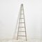 Large Antique French Fruit Picking Ladder 1