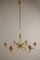 Italian Mid-Century Modern Honey Murano Glass 6-Light Chandelier, 1950s 1