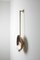 Brushed Brass Oyster Wall Mounted Lamp by Carla Baz 2