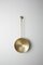 Brushed Brass Oyster Wall Mounted Lamp by Carla Baz 1