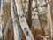 Árboles, años 60, óleo sobre lienzo, enmarcado, Imagen 6